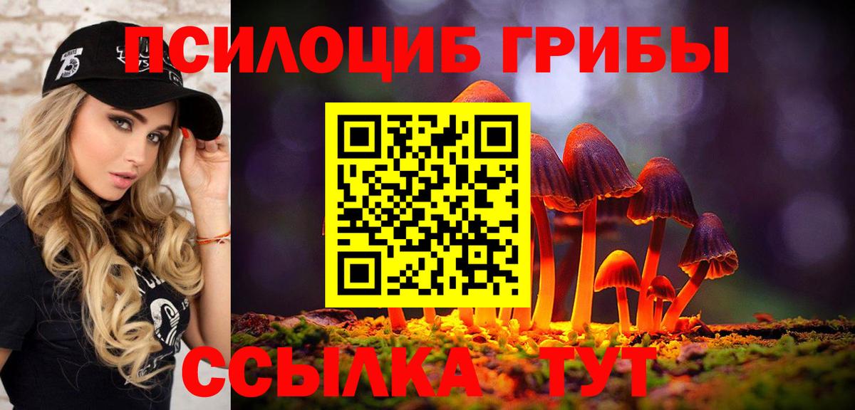 Псилоцибиновые грибы прущие грибы Берёзовский