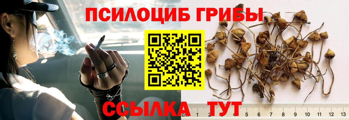 Галлюциногенные грибы мицелий  Вход с VPN  Галлюциногенные грибы GOLDEN TEACHER  Берёзовский 